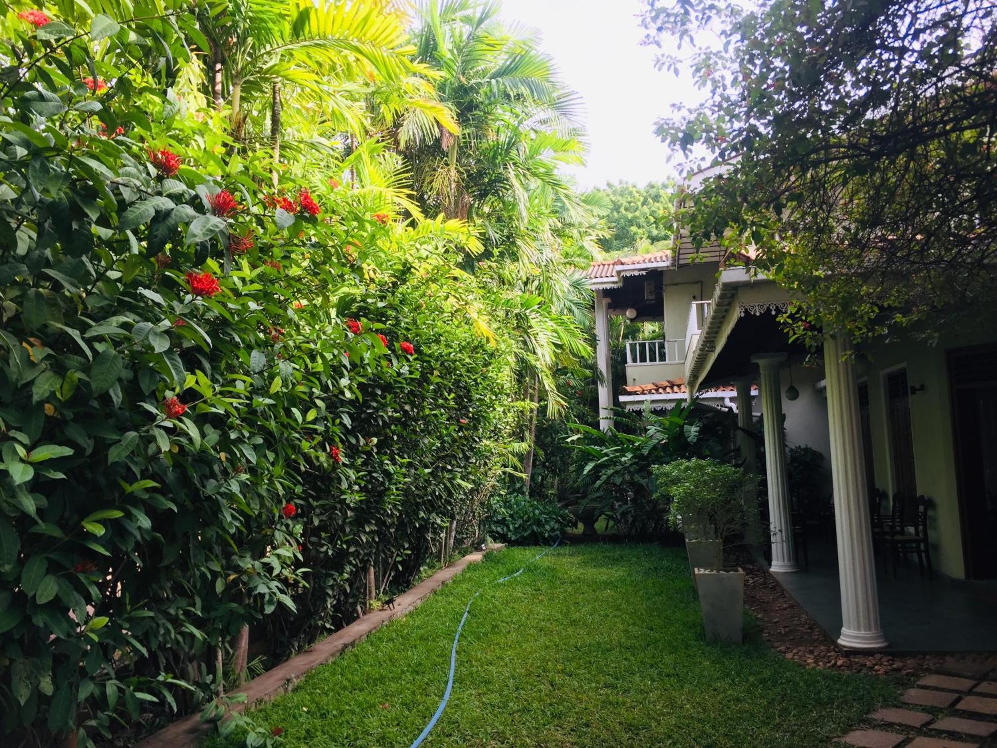 Hotel Sunflower Катарагама Экстерьер фото